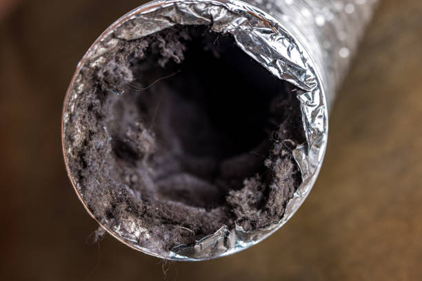 Best HVAC Maintenance and Cleaning  in Marshfield, WI