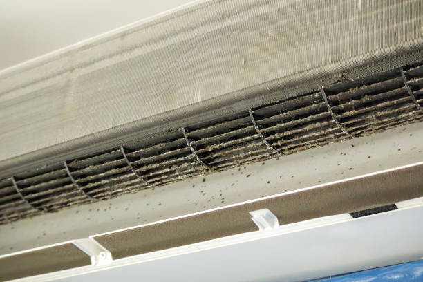 Best Air Duct Cleaning Near Me  in Marshfield, WI